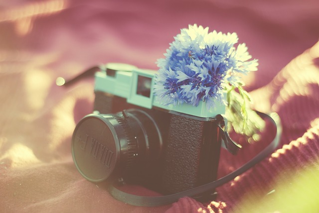 In 5 Schritten zum perfekten Hochzeitsfotograf