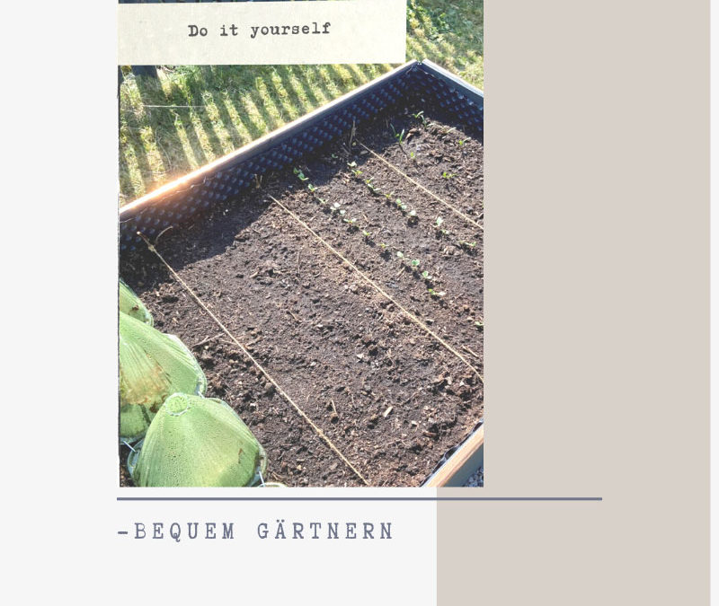 Hochbeet DIY – bequemes Gärtnern
